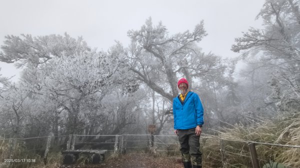 #望洋山 #太平山觀雲步道 #霧淞 #雲海 #帝雉 3/172737671