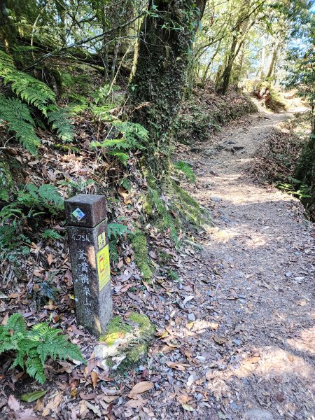 小百岳集起來-稍來山2181430