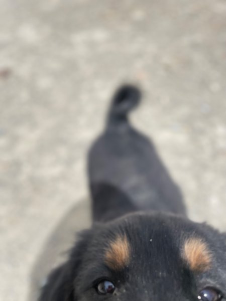 西藏♥️可愛動物🐎人物寫真/拉薩旅拍/美食2902916