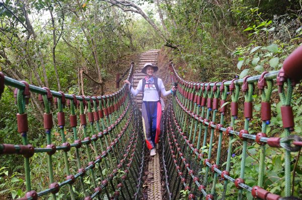 烏山嶺水利古道2799206