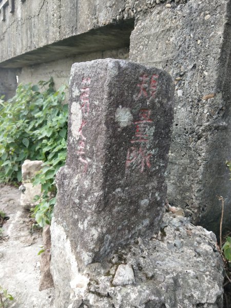 硬漢嶺-觀音山(楓櫃斗湖步道,硬漢嶺步道706530
