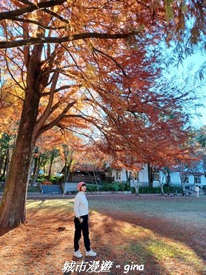 【南投仁愛】光影下的森林療育。 奧萬大國家森林遊樂區步道群2973137