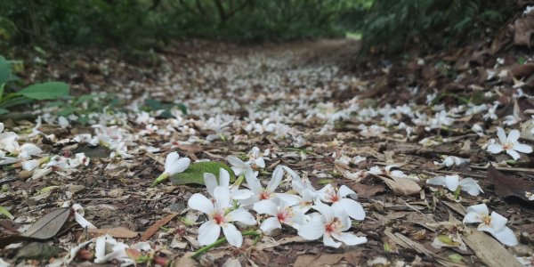 尾寮山趴趴走913012