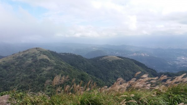 20181020 陽明山西段縱走438688