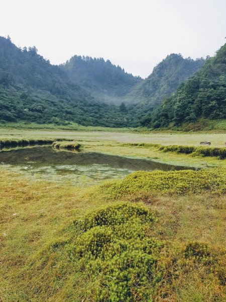 松蘿湖半日遊1015273