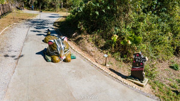 雪山坑環線步道2988741