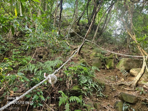20260112月扇湖山&四分子古道O走+烏塗溪步道2986512