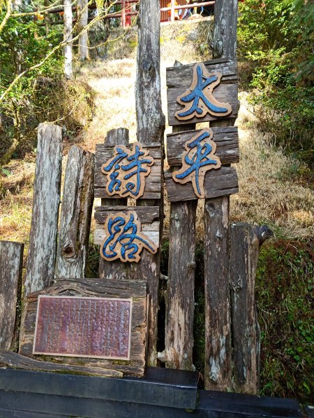 太平山檜木原始林步道1293018