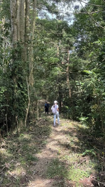 20251025 小百岳竹子尖山及刣牛湖山2925019