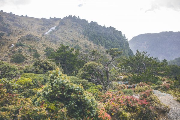 20201224~26-終於看到嘉明湖本人了!1581999