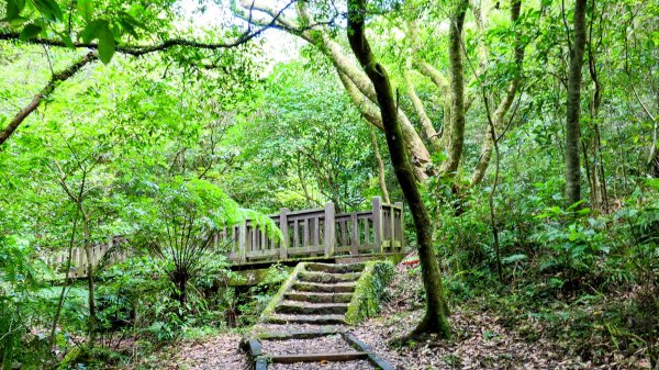 環七星山步道2837889