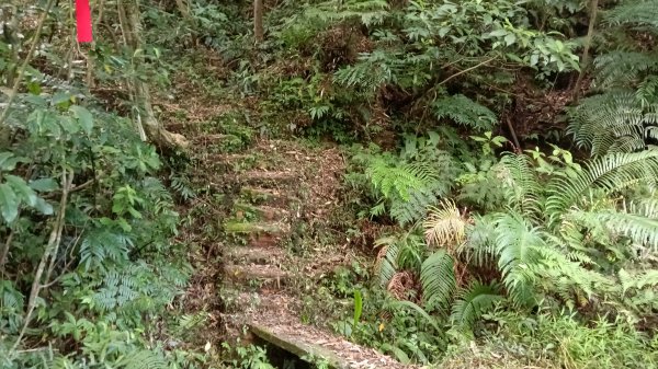 萬里區石門嶺古道(保甲路)-溪畔小徑-雙溪溝古道3087319