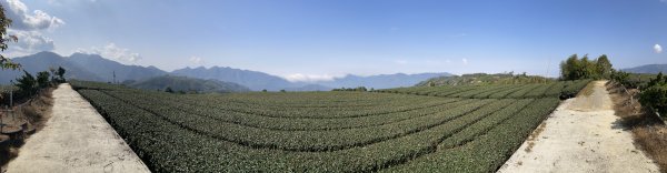 20260217月眉山+海鼠山+奮瑞古道3001655
