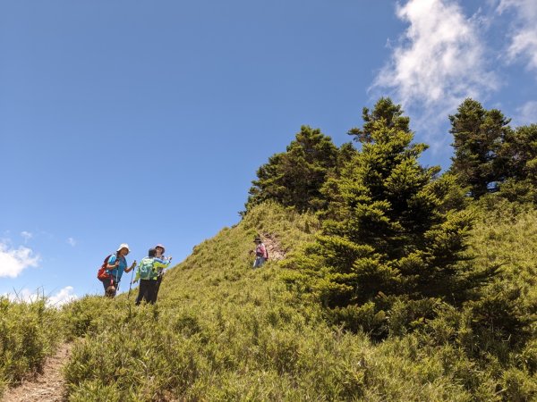 合歡山群峰（南峰、石門山、尖山、東峰）2626843