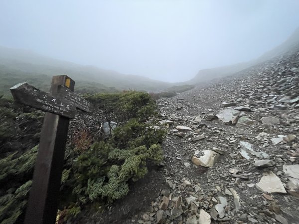 一日小O聖 2024 11/222865476