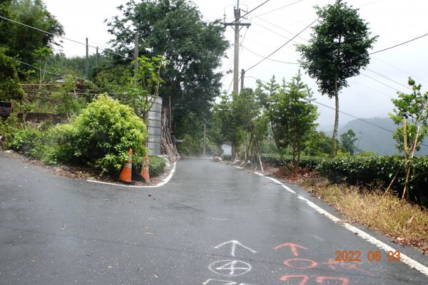 嘉義 梅山 鹿崛坪山(幼葉林山)1730024