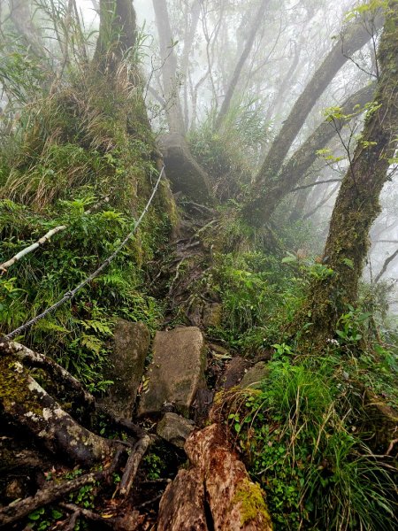 都蘭山-小百岳#93-台東縣東河鄉2779408