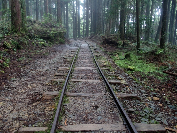 特富野古道90533