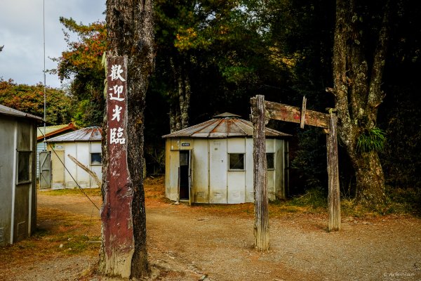 [冬訪大霸聖山岳參行]-大鹿林道東線榆金楓紅與九九山莊精選輯2974674