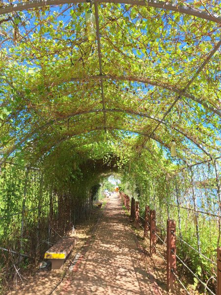 龍昇湖環湖步道+鄭漢步道202509132894813