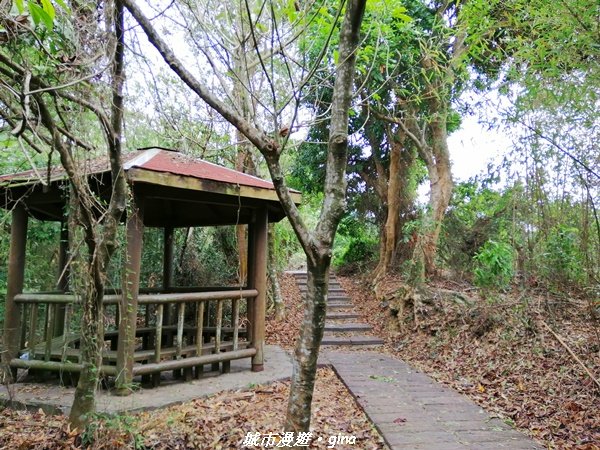 適合賞景健身親子型步道~鳳凰山觀音山步道1244173