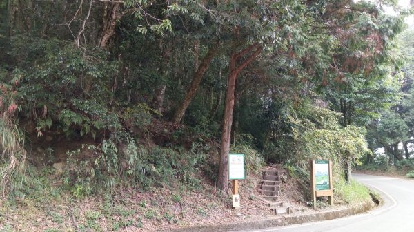 鳶嘴稍來賞楓行663214