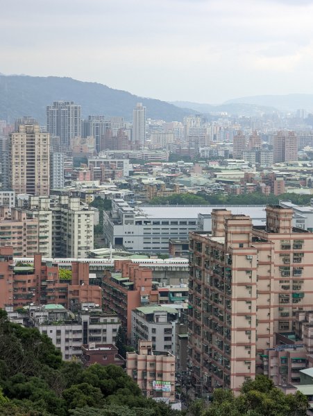 2022.03.05－大棟山縱走1636849