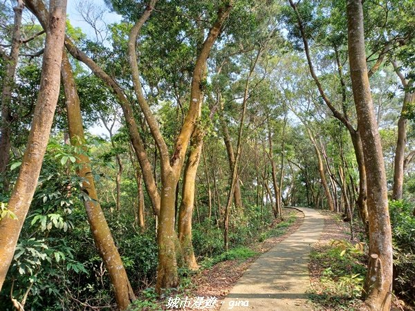 【彰化員林】綠樹林間散散步。 臥龍坡步道1691276