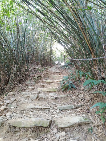 尾寮山登山步道502784