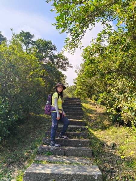 草嶺古道2025 芒花季2932034