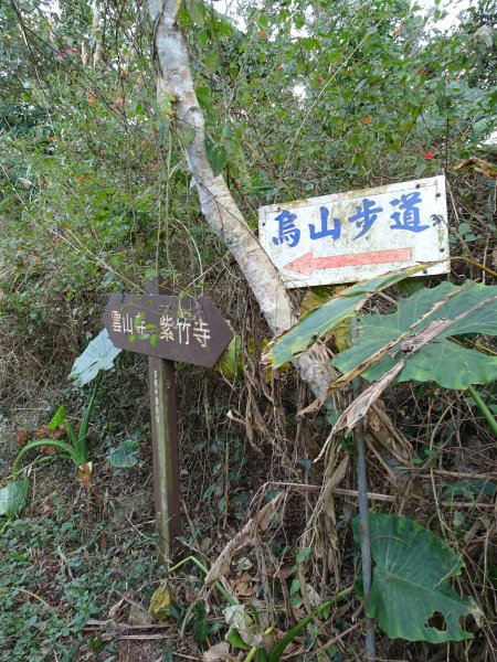 台南南化-刣牛湖山之三角點和厚德紫竹寺499356