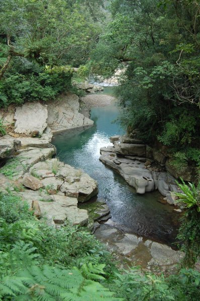 坪林金瓜寮溪步道1957855