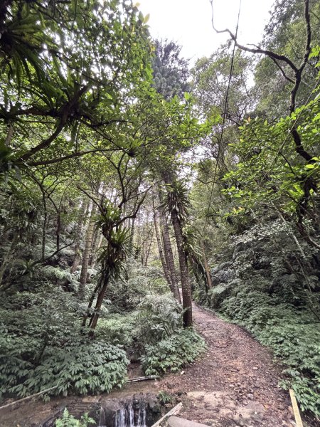 二格山、南邦寮山2941688