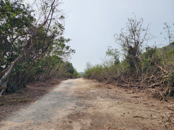 小百岳No.77⛰壽山3025154