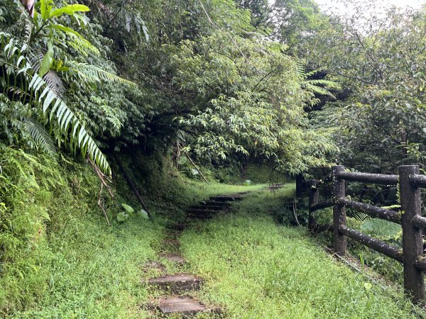 [微笑山線_第十一段] 2025_0803 五分山系_平溪小黃山段2851044