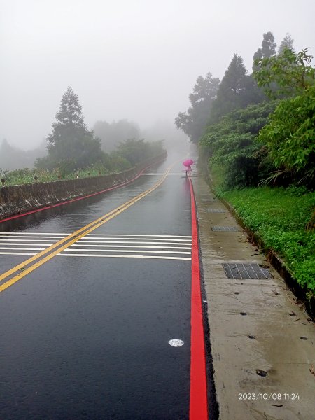 百拉卡公路人車分道、環七星山人車分道百拉卡公路入口站至冷水坑段、大港墘公園【走遍陽明山、健康大穀東】2307542