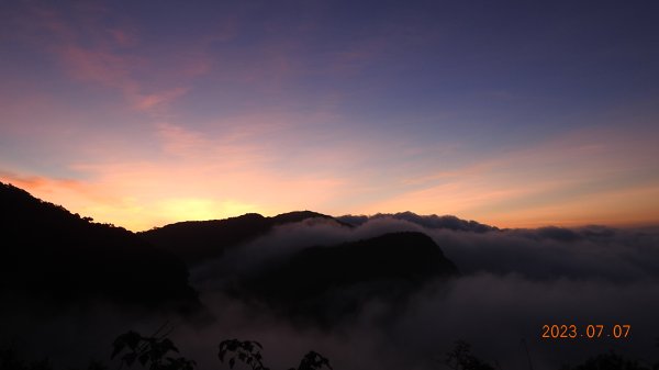 新店四十份/翡翠水庫壩頂月光/晨曦/日出雲海&石碇二格山雲海 7/7 & 13孓遺植物 #雙扇蕨2207738