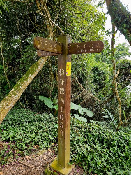 竹子尖山-小百岳#67-台南市楠西區/梅峰古道-(台南)臺灣百大必訪步道2630928