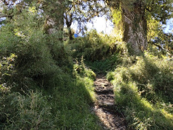 北一段(03/14)多加屯山 2025_0906~132885256