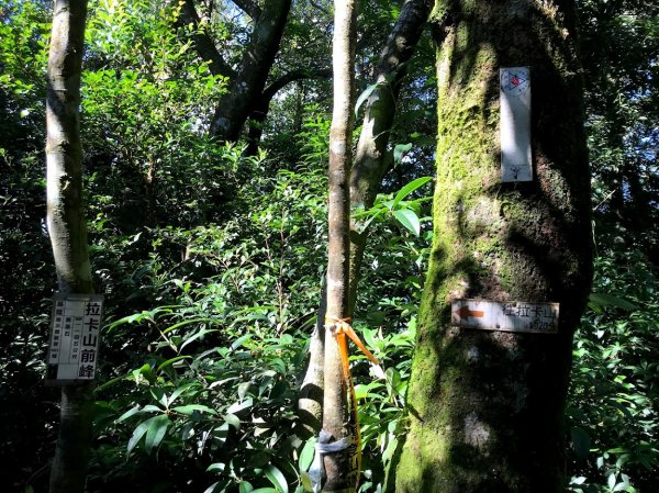 拉卡山前鋒_拉卡山_東滿步道滿月圓小O型201907271964404