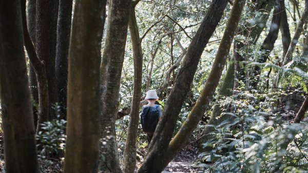 微笑山線 筆架連峰段段｜健行筆記尋寶任務2824776