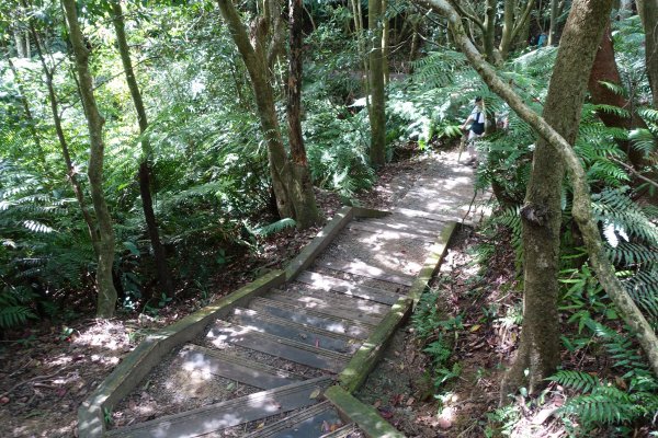 翠山步道．碧溪步道1078545