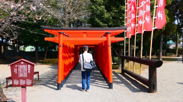 熊本水前寺成趣園,熊本城3028447