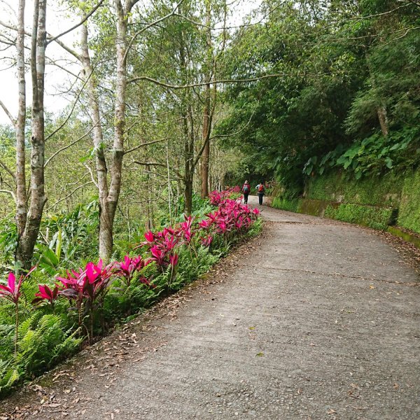 聖母登山步道561418