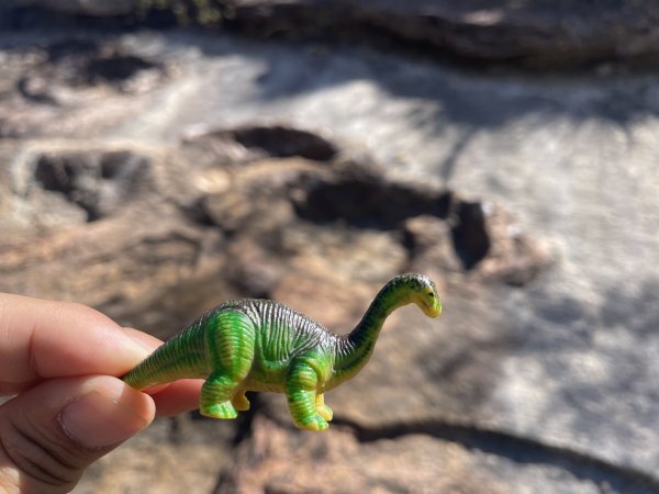 玻利維亞-Torotoro國家公園健行2968045