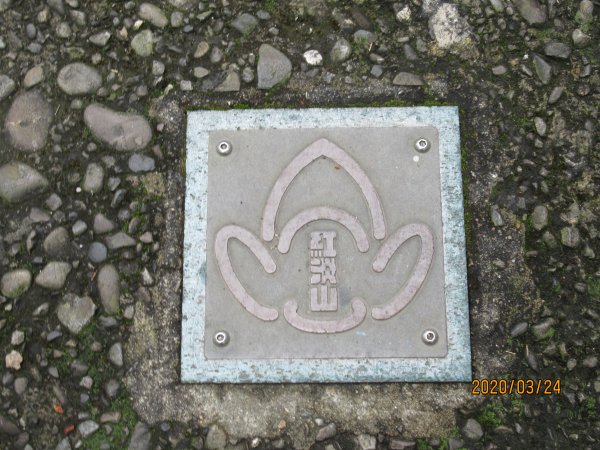 紅淡山步道907475