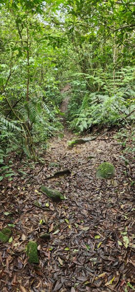 阿哲/小黑3031517