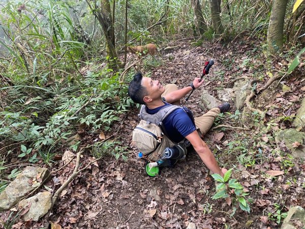 望鄉部落.獵人古道.望美山.瓊山【人與自然山林的恩怨情仇】2731380