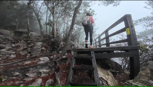 台中 鳶嘴稍來山O繞+稍來神木2989464