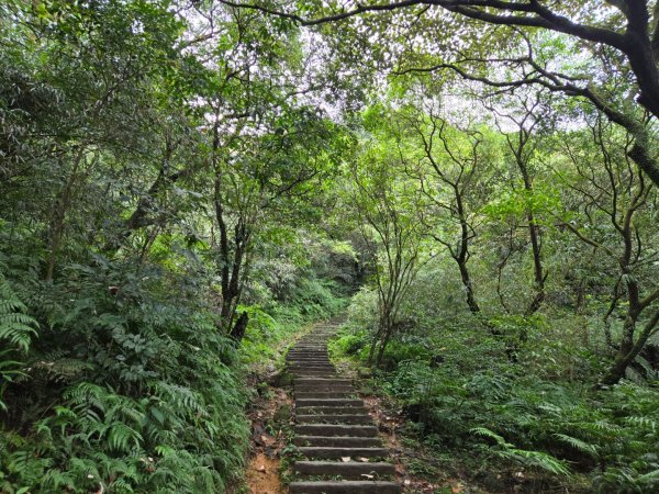 姜子寮山（小百岳）2620472